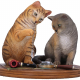 Figurine chat de collection "Purrlock Holmes" - Lisa Parker