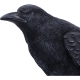 Figurine "Le Corbeau Messager"
